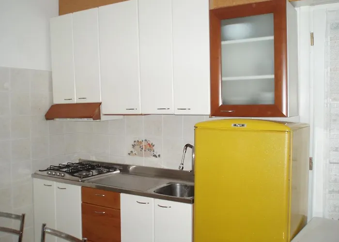 Albatros * 비비오네